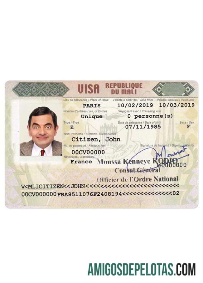 ELES TINHAM VISTO baixar para verificação